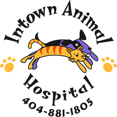 Intown Animal Hospital Midtown - Click to Navigate to About Page